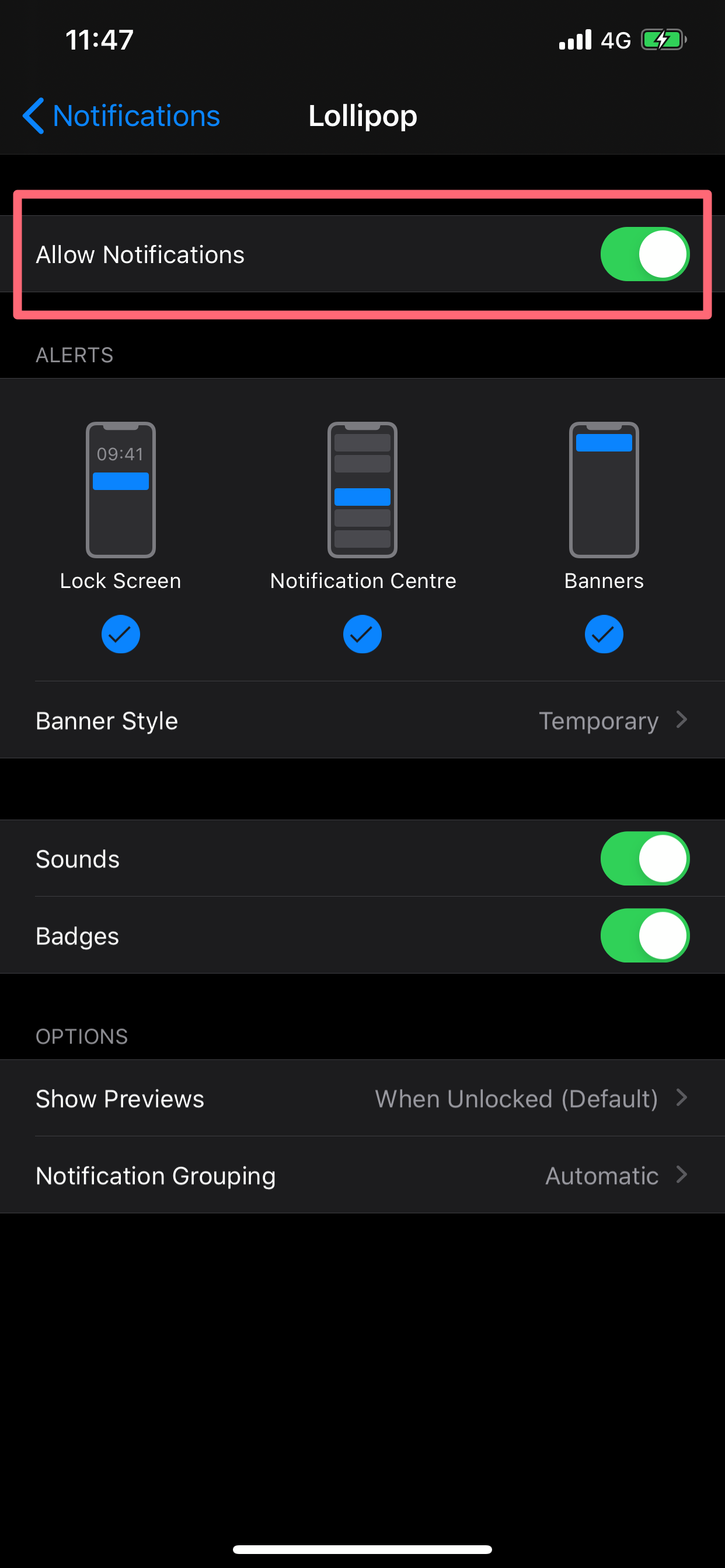 What Is the Lollipop App's Network Diagnosis? – Lollipop Support