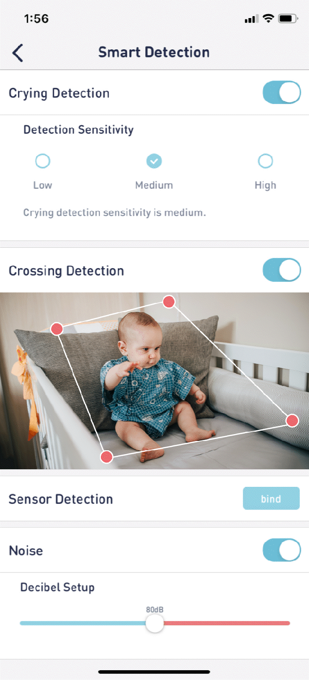 Crossing_Detection_EN.gif